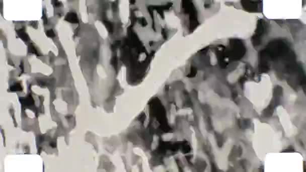 Filme Preto Branco Expressivo Abstrato 16Mm Bom Uso Como Fundo — Vídeo de Stock