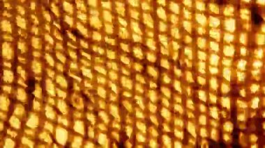 Eski sargı bezi 35 mm 'lik filmdeki fotoğraf metodunu kullanarak basılmış. Soyut döngüsel canlandırma