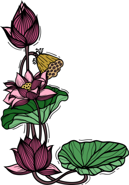 Pembe nilüfer çiçeği, süs kabı, el çizimi tarzı..