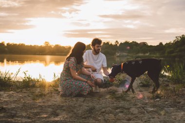 Genç mutlu çift piknik yapıyor ve gün batımında göl kenarında doberman köpekleriyle oynuyorlar.