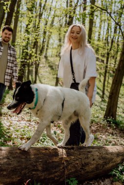 Genç ve neşeli bir çift ormanda melez köpekleriyle oynuyorlar.