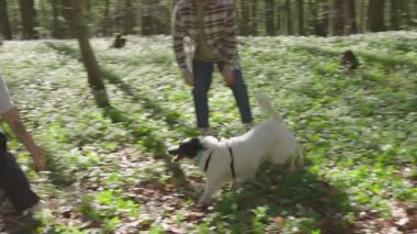 Genç ve neşeli bir çift ormanda melez köpekleriyle oynuyorlar.