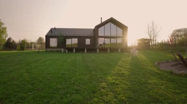 Günbatımında kırsalda yeni biçilmiş bir çimenlikte Sibirya köpeğiyle oynayan bir kadın.