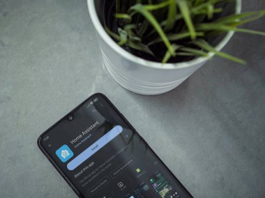 Lod, Israel - July 16,2023: Modern workspace with smartphone with Home Assistant app play store page on marble background. Close up top view flat lay.