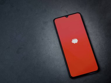 Lod, Israel - 16 Temmuz 2023: Para Yöneticisi & Bütçe uygulama ekranı kara mermer taşlı arka planda akıllı telefon. Üst görünüm düzlüğü kopyalama alanı ile yatıyordu.