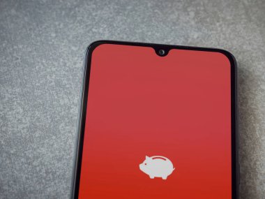 Lod, Israel - 16 Temmuz 2023: Para Yöneticisi & Bütçe uygulaması seramik taş zemin üzerinde akıllı telefon fırlatma ekranı. Üst görünüm düzlüğü kopyalama alanı ile yatıyordu.