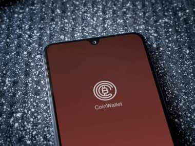 Lod, Israel - 16 Temmuz 2023: Cüzdan uygulaması metalik arkaplanda akıllı telefon çalıştırma ekranı. Üst görünüm yatağını kapat.