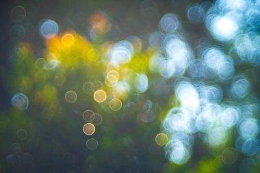 Bokeh ışık arka plan bulanık.