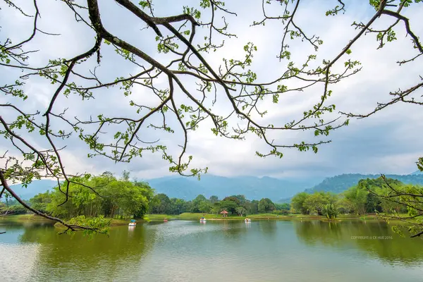 Arkasında bir göl olan güzel bir manzara.