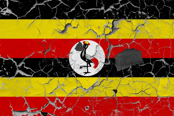 Bandeira Uganda Fundo Parede Pedra Velha — Fotografia de Stock