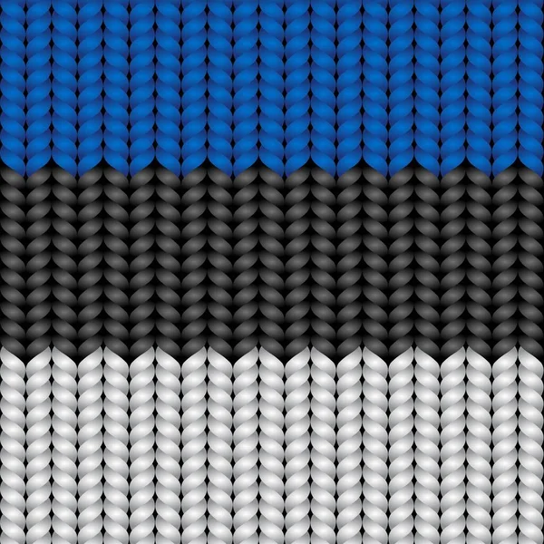 Flag Estonia Braided Rop — Stock Vector