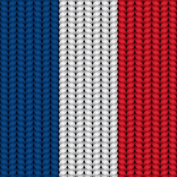 法国国旗挂在辫子上 — 图库矢量图片
