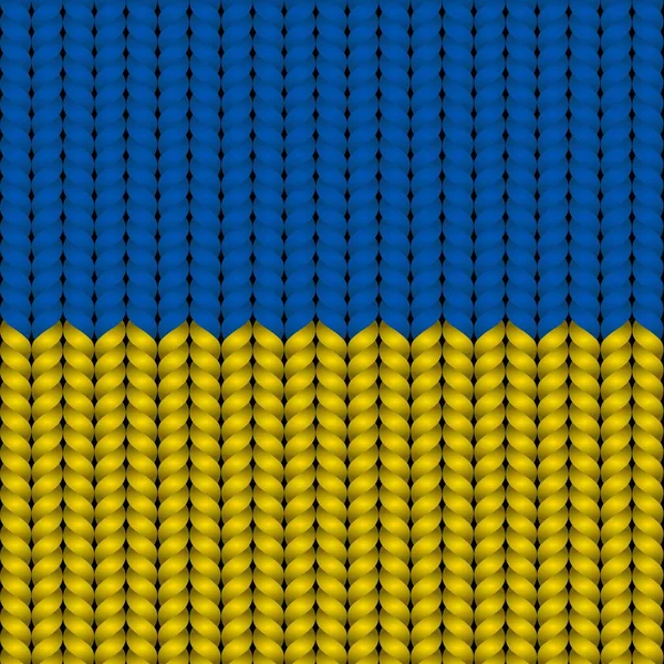 Zászló Ukrajna Fonott Rop — Stock Vector