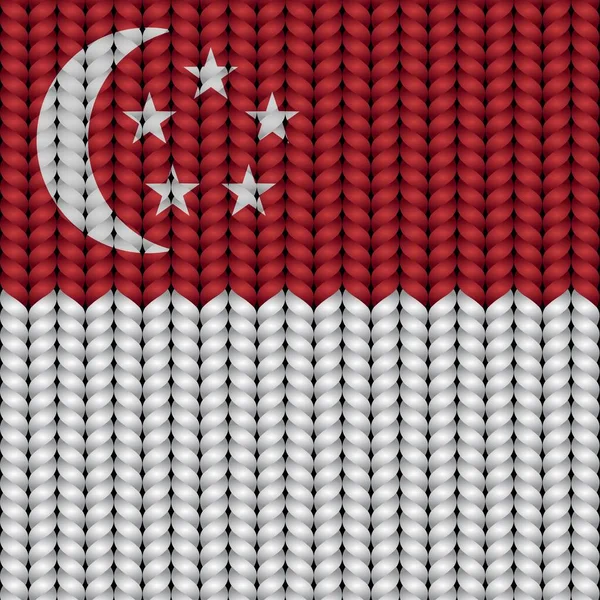 Flagga Singapore Flätad Rop — Stock vektor