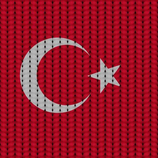 Flaga Turkiye Warkoczu — Wektor stockowy