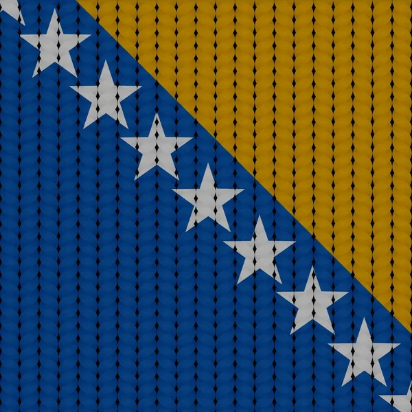Bandiera Della Bosnia Erzegovina Una Groppa Intrecciata — Vettoriale Stock