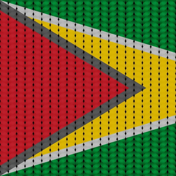 Flagge Von Guyana Auf Geflochtenem Seil — Stockvektor