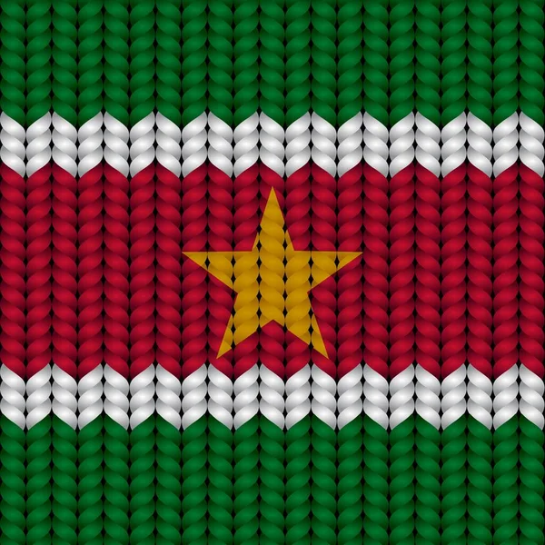 Bandera Surinam Una Cuerda Trenzada — Vector de stock