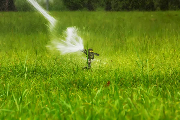 Sprinklers Park Working — Stock Photo, Image