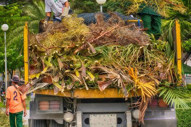 Odun parçaları toplamak için sarı araba, parkta kesilen çim kesikleri..