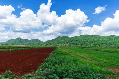 İyi atmosfer, ormanlar, dağlar ve mavi bulutlu gökyüzü Tayland 'da manzaradır..