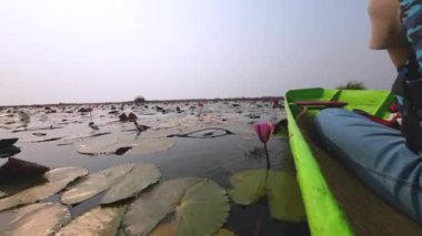 Take a scenic boat ride at Thung Bua Daeng, Bueng Lahan, Chaiyaphum, Thailand