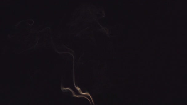 Steam Color Smoke Movement Black Background Abstract — ストック動画