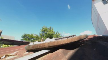 The sparrows are eating rice on a zinc roof