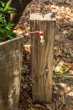 Bir ağaç kütüğüne gömülü musluk. Kırsal bahçe dekorasyonu.