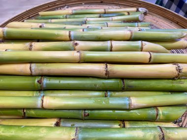 Yemek pişirmek için bambu filizleri. Yenilebilir olan genç bambu filizi..