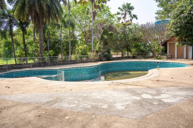 Bahçe evinde terk edilmiş yüzme havuzu..