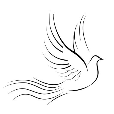 Güvercinler beyaz arka planda tek başlarına uçuyorlar..