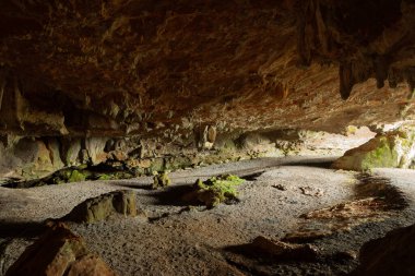 Aldeacueva Mağarası, açık mağara. Bask Ülkesi. İspanya..