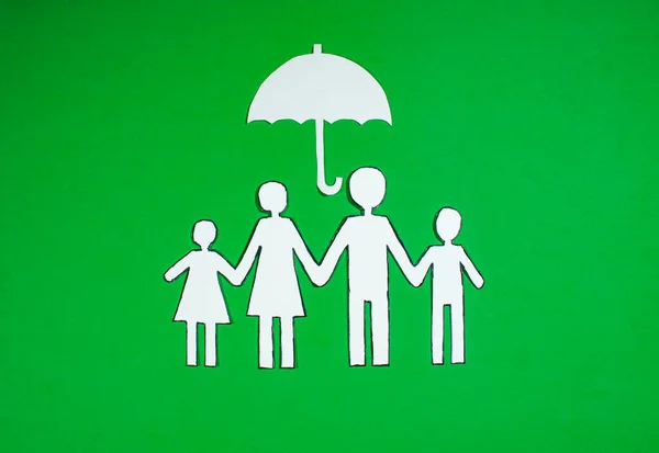 medical and insurance protection of the whole family, the concept of security