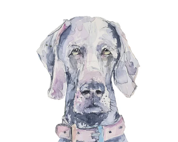 Bir Köpeğin Çizimi Suluboya Resmi Vektöre Ait Izler — Stok Vektör