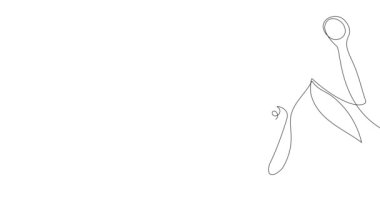 Animated self drawing of bottles with oil or honey or lemon or lime juice for scrubbing and body skin care with natural herbal skin care products. High quality footage