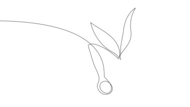 Animated self drawing of bottles with oil or honey or lemon or lime juice for scrubbing and body skin care with natural herbal skin care products. High quality footage