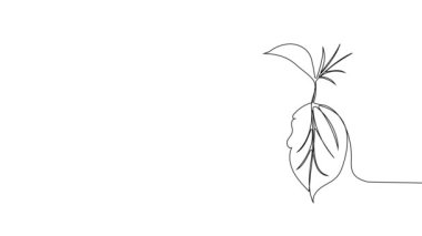 Animated self drawing of bottles with oil or honey or lemon or lime juice for scrubbing and body skin care with natural herbal skin care products. High quality footage