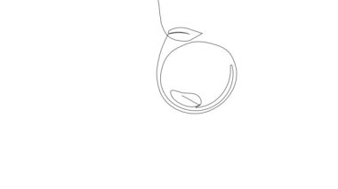 Animated self drawing of bottles with oil or honey or lemon or lime juice for scrubbing and body skin care with natural herbal skin care products. High quality footage