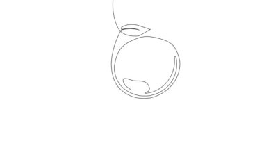 Animated self drawing of bottles with oil or honey or lemon or lime juice for scrubbing and body skin care with natural herbal skin care products. High quality footage