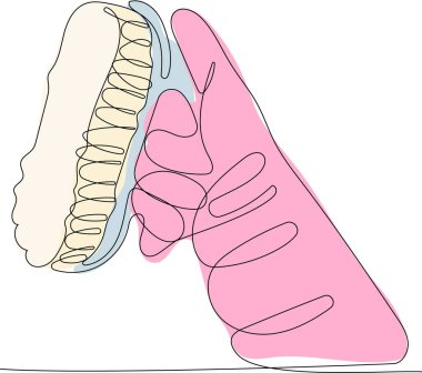 Sıvı çamaşır deterjanı, çamaşır suyu, yumuşatıcı, bulaşık deterjanı ya da başka bir temizlik maddesi için sürekli bir sıra şişe çizimi. Metin ve marka logonuzu yerleştirmek kolay. Vektör illüstrasyonu