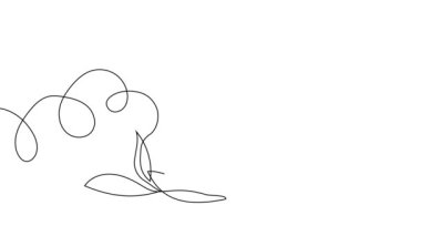 Animated self drawing of bottles with oil or honey or lemon or lime juice for scrubbing and body skin care with natural herbal skin care products. High quality footage