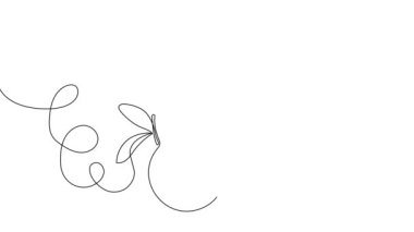 Animated self drawing of bottles with oil or honey or lemon or lime juice for scrubbing and body skin care with natural herbal skin care products. High quality footage