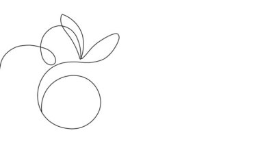 Animated self drawing of bottles with oil or honey or lemon or lime juice for scrubbing and body skin care with natural herbal skin care products. High quality footage