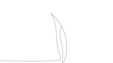 Animated self drawing of bottles with oil or honey or lemon or lime juice for scrubbing and body skin care with natural herbal skin care products. High quality footage