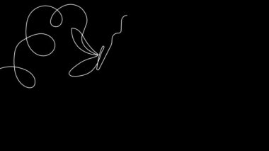 Animated self drawing of bottles with oil or honey or lemon or lime juice for scrubbing and body skin care with natural herbal skin care products. High quality footage