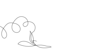 Animated self drawing of bottles with oil or honey or lemon or lime juice for scrubbing and body skin care with natural herbal skin care products. High quality footage