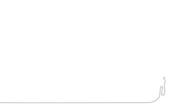 Animated self drawing of bottles with oil or honey or lemon or lime juice for scrubbing and body skin care with natural herbal skin care products. High quality footage