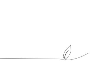 Animated self drawing of bottles with oil or honey or lemon or lime juice for scrubbing and body skin care with natural herbal skin care products. High quality footage