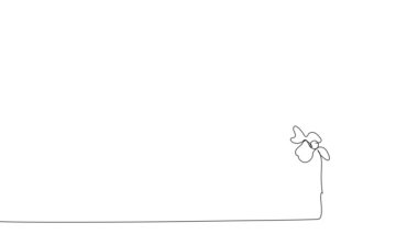 Animated self drawing of bottles with oil or honey or lemon or lime juice for scrubbing and body skin care with natural herbal skin care products. High quality footage